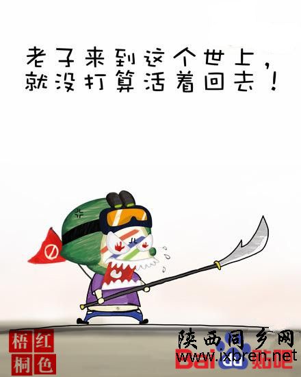 01.jpg