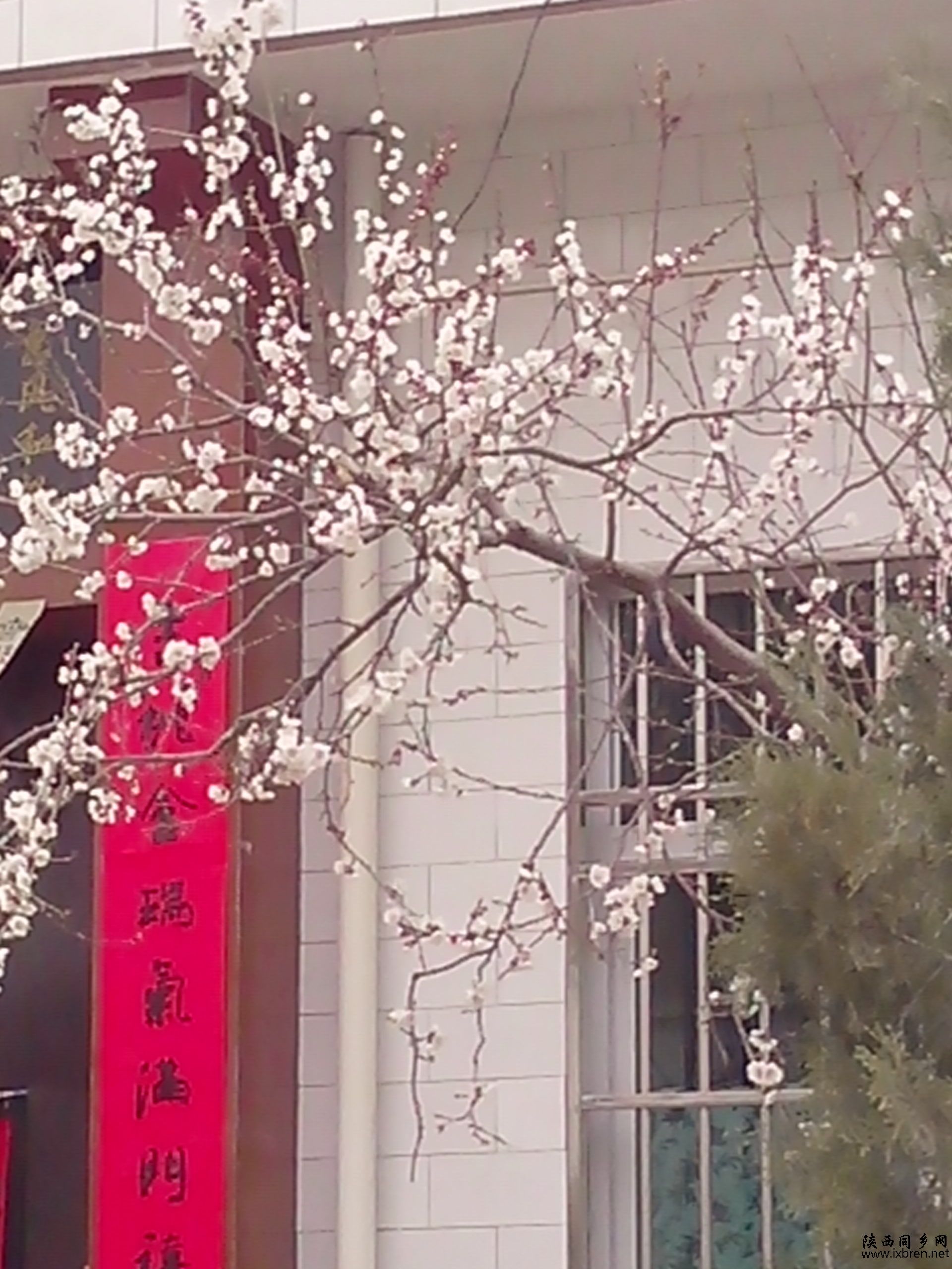 IMG20130310008.jpg
