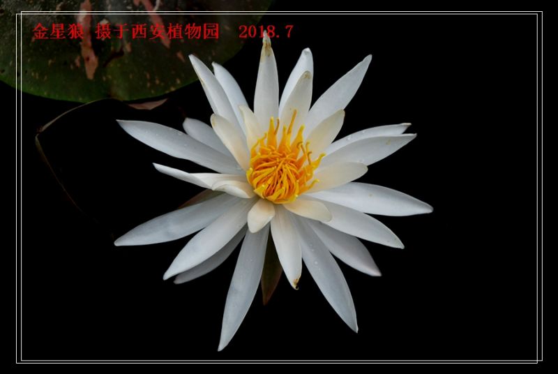 DSC_0177_����.jpg
