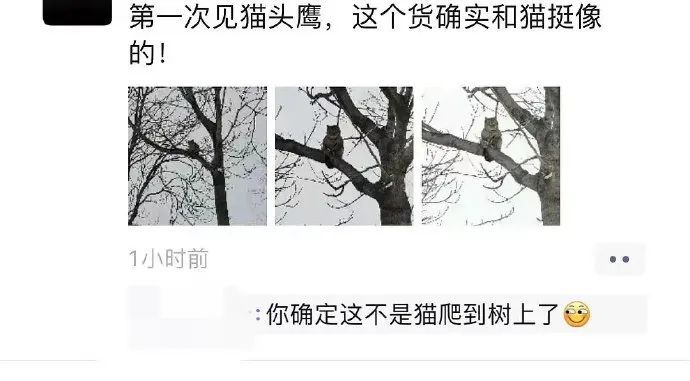 �Ҳ���Ҫ����ЦŮw13.jpg