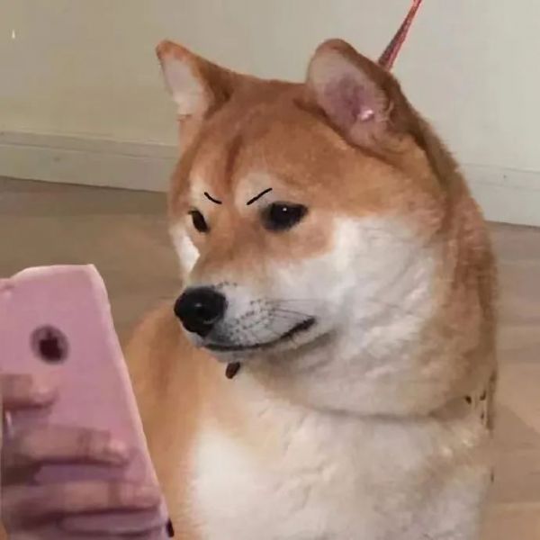 ��Ц�����:��ò,����?w5.jpg