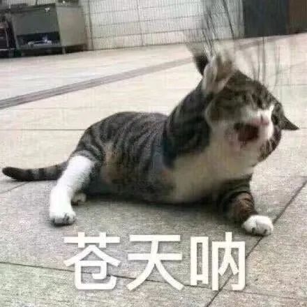 ��Ц�����:��ò,����?w12.jpg