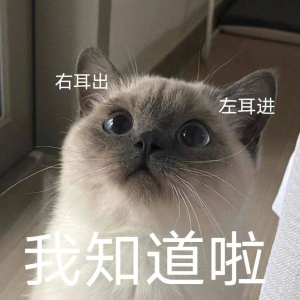 ��Ц�����:��ò,����?w20.jpg