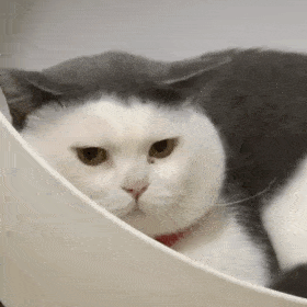 ��Ц�����:��ò,����?w23.jpg