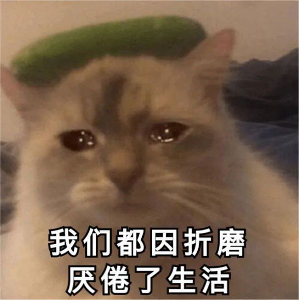 ��Ц�����:��ò,����?w34.jpg