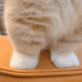 ��Ц�����:��ò,����?w53.jpg