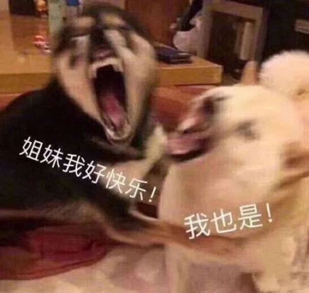 �����ø�Ц,�Һ���Ľ����w8.jpg