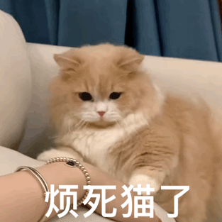 ��Ц��������ح����w4.jpg