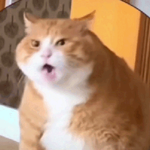 ��Ц��������ح����w6.jpg