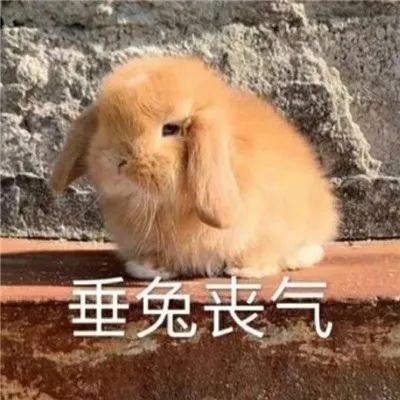 ��Ц�����|��Ц������ϼ�w10.jpg