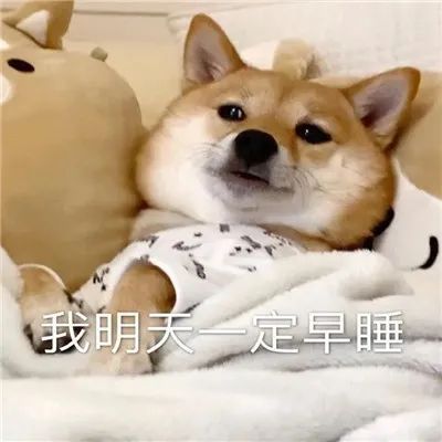 ��Ц�����|��Ц������ϼ�w14.jpg