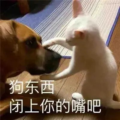 ��Ц�����|��Ц������ϼ�w16.jpg