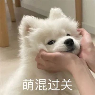 ��Ц�����|��Ц������ϼ�w12.jpg