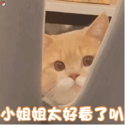 ��Ц����� | ����Ȼ����,��������������w5.jpg