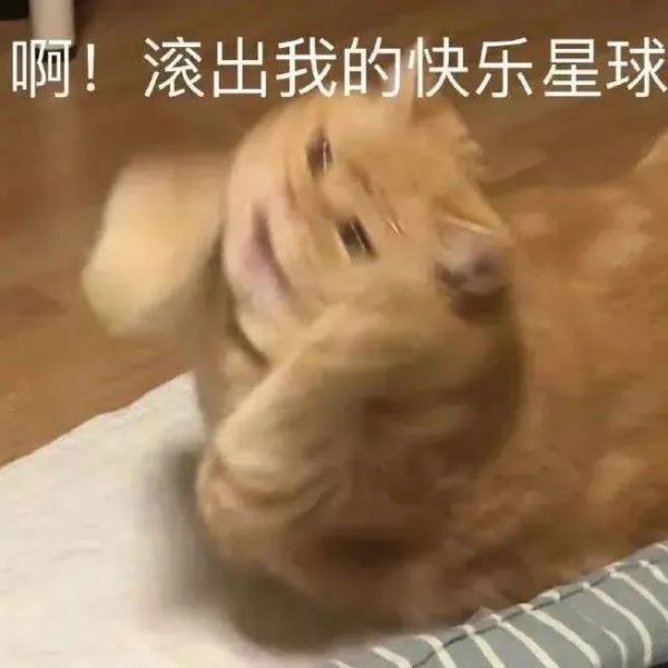 ɳ���Ц�����:��û�°�?w11.jpg