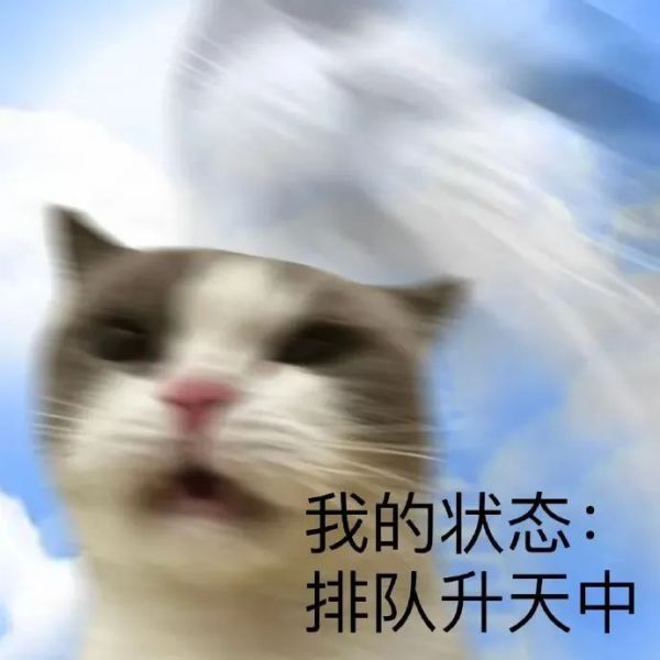 ��Ц�����|��Ц������Ƽ�w12.jpg