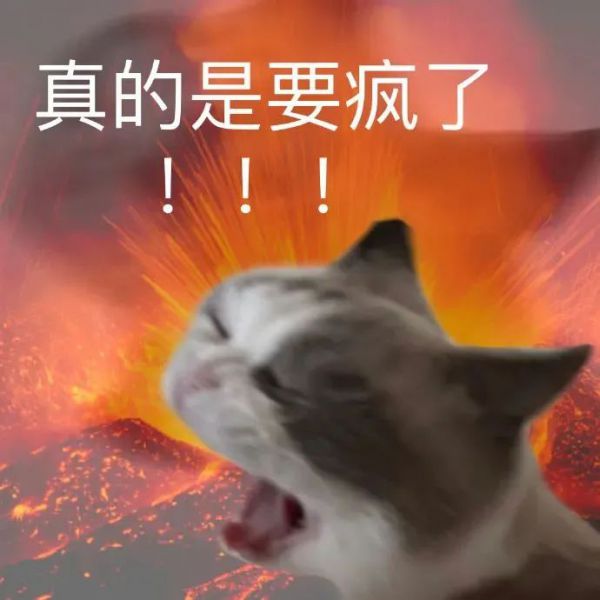 ��Ц�����|��Ц������Ƽ�w13.jpg