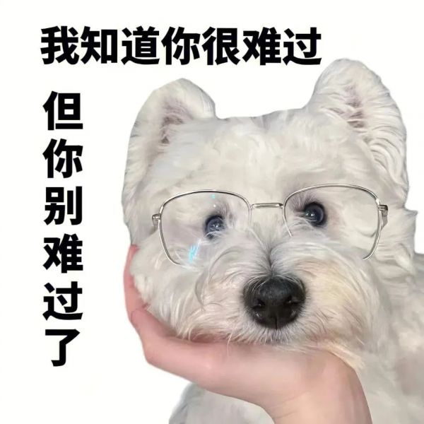 ��Ц�����|��Ц������Ƽ�w16.jpg