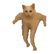 ��Ц�����|��ֻ��һ����w17.jpg