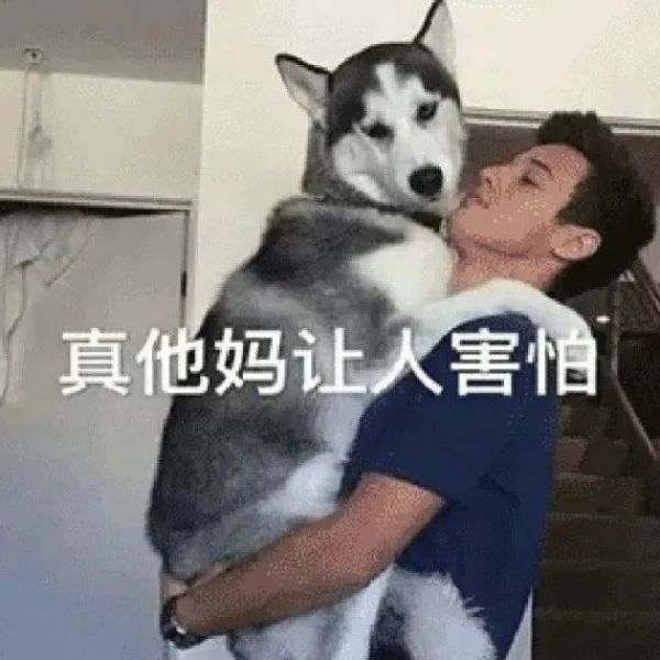 ��Ц����� | ���ɱ����!w11.jpg