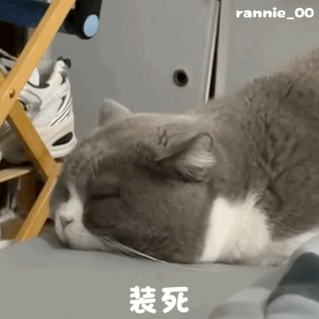 ��Ц����� | ���ɱ����!w16.jpg