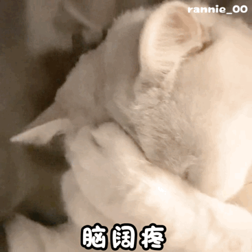 ��Ц����� | ���ɱ����!w17.jpg