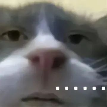 ��Ц����� | ���ɱ����!w24.jpg
