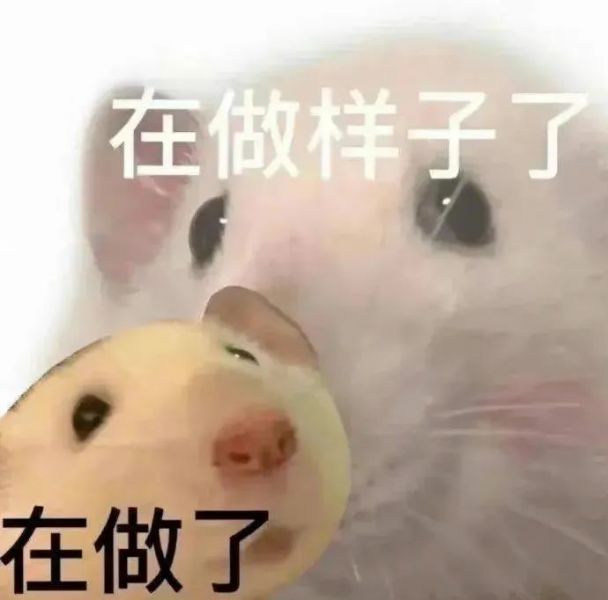 �����ح��Ц��С��è�����w14.jpg