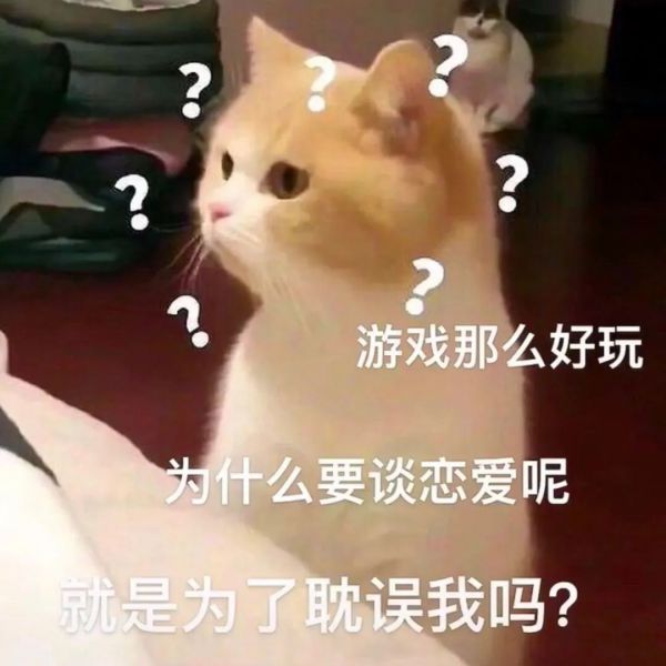 �����ح��Ц��С��è�����w31.jpg