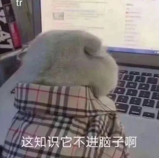 �����ح��Ц��С��è�����w43.jpg