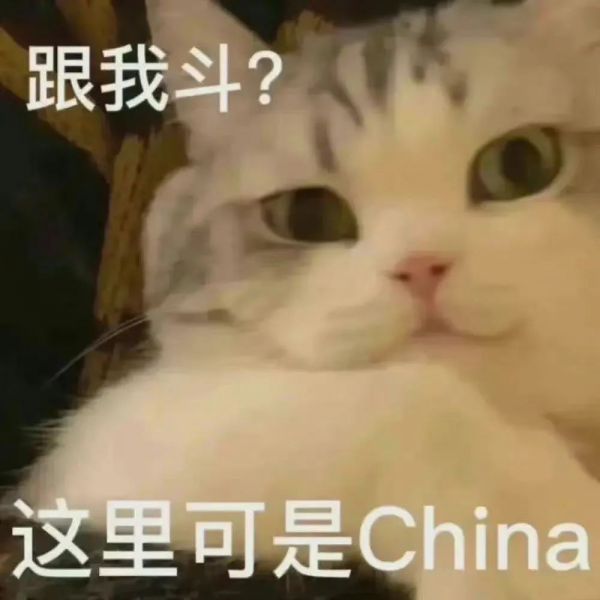 �����ح��Ц��С��è�����w48.jpg