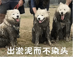 ��Ц�����:���������Ⱦͷw2.jpg