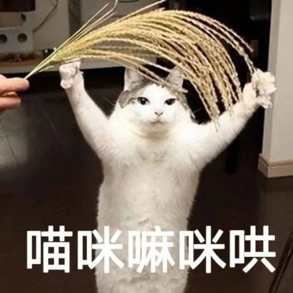 ��Ц�����:���������Ⱦͷw10.jpg