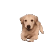��Ц�����:���������Ⱦͷw14.jpg