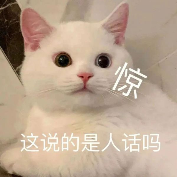 ��Ц��������:��˵�����˻���w3.jpg
