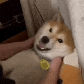 ��Ц�����|û��˼��û��˼w13.jpg