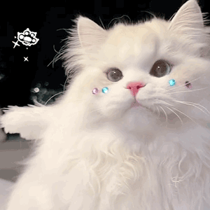 ��Ц�����|û��˼��û��˼w30.jpg