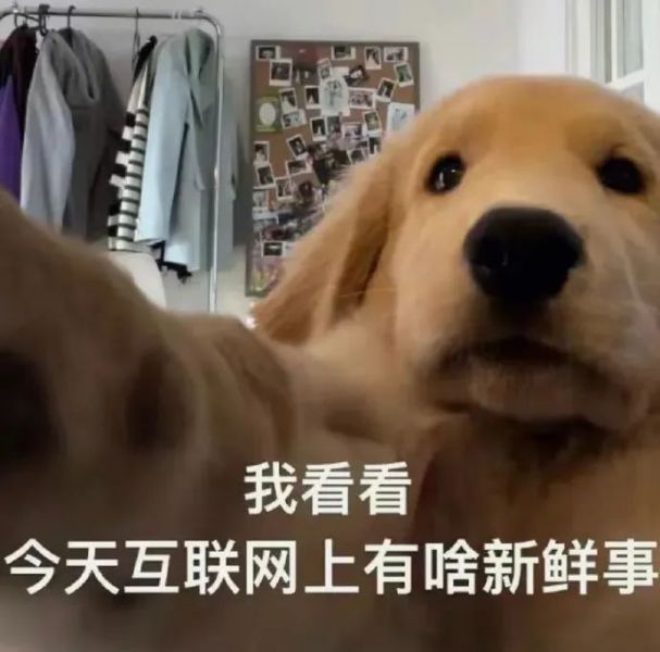 ��Ц�����|û��˼��û��˼w65.jpg