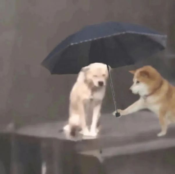 ��ЦŮ�������ȫ:����ڸ���ѽ~~w14.jpg
