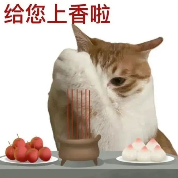 ��ЦŮ�������ȫ:����ڸ���ѽ~~w27.jpg