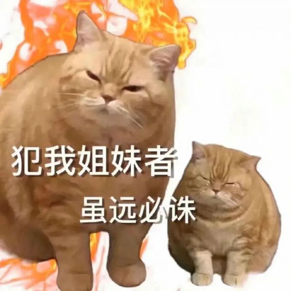 ��ЦŮ�������ȫ:����ڸ���ѽ~~w28.jpg