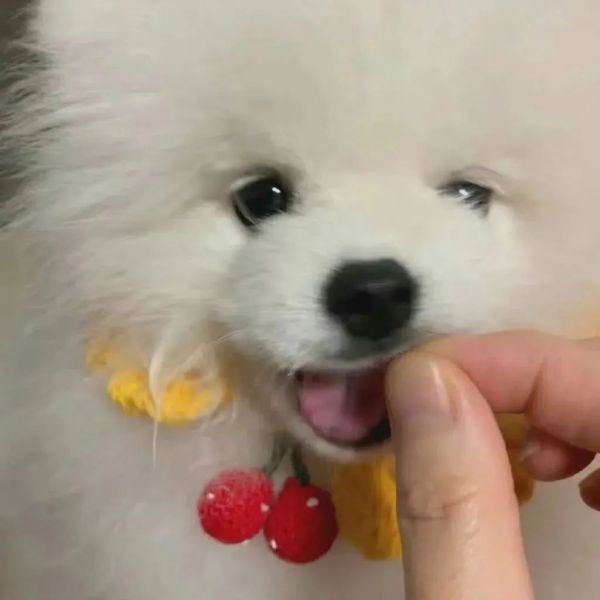 ��ЦŮ�������ȫ:����ڸ���ѽ~~w36.jpg