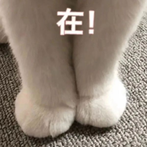��ЦŮ�������ȫ:����ڸ���ѽ~~w40.jpg