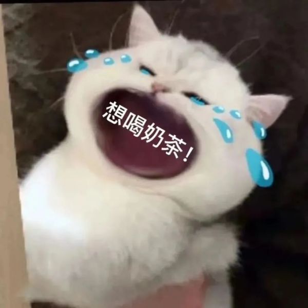 ��ЦŮ�������ȫ:����ڸ���ѽ~~w43.jpg