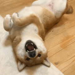 ��Ц����� | �����ӱ��� Ʒ��ǿ����w4.jpg