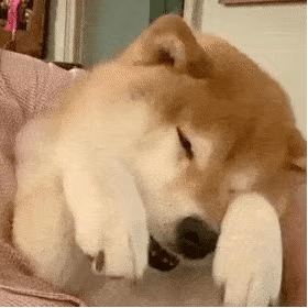 ��Ц����� | �����ӱ��� Ʒ��ǿ����w5.jpg