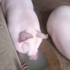 ��Ц����� | �����ӱ��� Ʒ��ǿ����w20.jpg