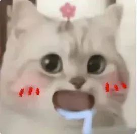 ��Ц�����|�������������w32.jpg