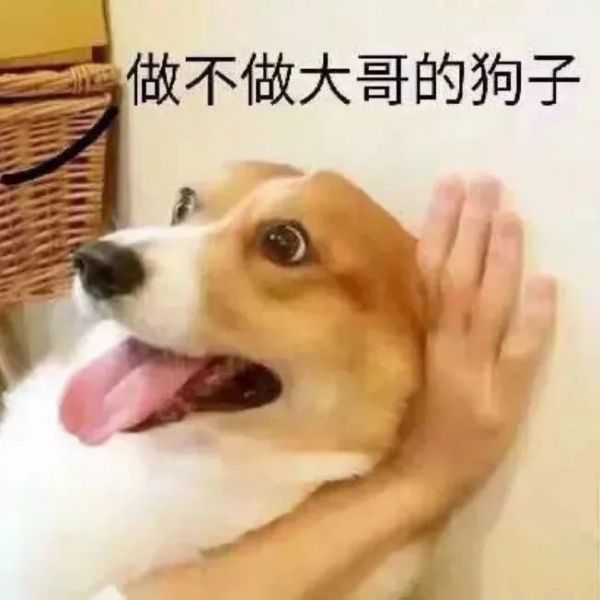 ��Ц��Ĭ�����:��û�¶���?w15.jpg
