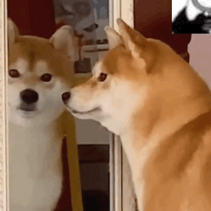 ��Ц��Ĭ�����:��û�¶���?w14.jpg